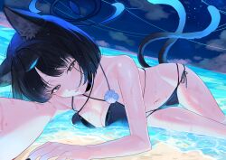 1girl absurdres animal_ears bikini black_eyes black_hair blue_archive blue_bikini blue_halo breasts cat_ears cat_girl cat_tail cleavage commentary halo highres kameria526 kikyou_(blue_archive) kikyou_(swimsuit)_(blue_archive) medium_breasts multiple_tails navel night official_alternate_costume outdoors parted_lips short_hair solo swimsuit tail two_tails water