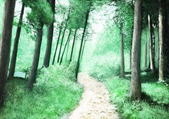 Rule 34 | chinese commentary, commentary request, day, forest, grass, green theme, highres, nature, no humans, original, outdoors, path, road, scenery, tree, zaq (pgvc4472)