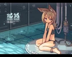 1girl android animal_ears anklet barefoot bikini blue_eyes brown_hair cable cable_tail cat_ears commentary_request english_text highres jewelry jitome letterboxed long_hair mechanical_tail mixed-language_text nancou_(nankou) original recharging side-tie_bikini_bottom sitting solo swimsuit tail tankini usb wariza water wet
