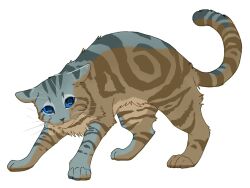 Rule 34 | animal, animal focus, blue eyes, cat, character request, commentary request, fugu (fugusunburst55), full body, grey cat, grey fur, looking at viewer, no humans, simple background, solo, standing, tail, warrior cats, whiskers, white background