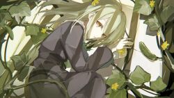 Rule 34 | 1girl, absurdres, bang dream!, bang dream! it&#039;s mygo!!!!!, blunt bangs, chinese commentary, commentary request, cucumber, dress, feet out of frame, flower, from above, green hair, green ribbon, grey dress, hands up, highres, holding, holding flower, knee up, leaf, long dress, long hair, long sleeves, looking at viewer, lying, monnku, neck ribbon, on side, parted bangs, parted lips, plant, puffy long sleeves, puffy sleeves, ribbon, shadow, sideways glance, solo, vines, wakaba mutsumi, white sleeve cuffs, window shadow, yellow eyes, yellow flower