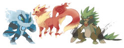 10s chespin creatures_(company) fakemon fennekin froakie game_freak gen_6_pokemon long_image nintendo pokemon pokemon_(creature) pokemon_xy wide_image