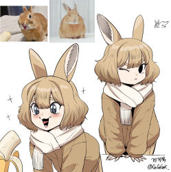 1girl :&lt; :3 absurdres animal_ear_fluff animal_ears arm_support artist_name banana black_eyes blush brown_hair brown_jacket closed_mouth creature_and_personification food fruit fur_jacket gegegekman hair_between_eyes highres jacket long_sleeves looking_at_food lower_teeth_only one_eye_closed original personification photo-referenced photo_inset rabbit rabbit_ears rabbit_girl scarf short_hair simple_background smile solo sparkle sparkling_eyes teeth thick_eyebrows twitter_username white_background white_scarf