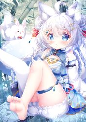 1girl :o ahoge animal_ear_fluff animal_ears barefoot blue_dress blue_eyes blue_hair blush braid character_request check_copyright commentary_request commission copyright_request detached_sleeves dress foot_out_of_frame hair_between_eyes hair_ornament hairpin hamiyamiko long_hair looking_at_viewer on_grass original single_thighhigh sitting sleeveless sleeveless_dress solo thigh_strap thighhighs thighs toes very_long_hair virtual_youtuber white_hair white_sleeves white_thighhighs