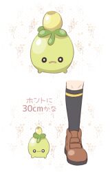 1other black_socks brown_shoes commentary_request creatures_(company) game_freak minashirazu multiple_views nintendo olive open_mouth pokemon pokemon_(creature) pokemon_sv shoes simple_background smoliv socks translated translation_request wavy_mouth