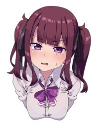 1girl black_ribbon blush bow bowtie bra breasts cevio collared_shirt cropped_torso hair_ribbon homura_shinji loose_bowtie medium_breasts mole mole_under_eye natsuki_karin open_mouth purple_bow purple_bowtie purple_eyes purple_hair ribbon see-through_clothes shirt solo sweatdrop synthesizer_v twintails underwear