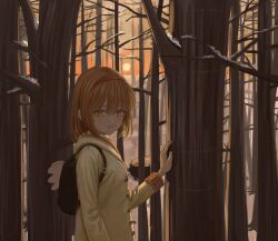Rule 34 | 1girl, :|, absurdres, alternate eye color, angel wings, arm at side, backlighting, backpack, bag, bare tree, blush, brown eyes, brown hair, chinese commentary, closed mouth, coat, commentary request, expressionless, eyelashes, fake wings, forest, hair between eyes, hairband, hand on tree, hand up, highres, hood, hood down, hooded coat, jiawenqing, kanon, long sleeves, looking at viewer, medium hair, nature, orange sky, outdoors, red hairband, sky, snow, solo, straight hair, sunset, tree, tsukimiya ayu, upper body, wings, yellow coat