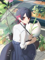 Rule 34 | 1girl, absurdres, black hair, black pantyhose, black skirt, blush, closed mouth, earpiece, ellen joe, ellen joe (on campus), fins, fish tail, highres, holding, looking at viewer, looking back, multicolored hair, official alternate costume, pantyhose, plant, pleated skirt, potted plant, red eyes, red hair, school uniform, shark girl, shark tail, short hair, skirt, solo, tail, thomas 8000, transparent, transparent umbrella, umbrella, zenless zone zero