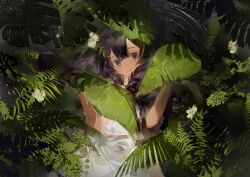 1girl absurdres blue_eyes closed_mouth dark-skinned_female dark_skin fatutu flower hair_flower hair_ornament hands_up hiding highres looking_at_viewer midriff monstera_deliciosa nature plant reverse:1999 sceed shirt skirt smile solo upper_body white_flower white_shirt white_skirt