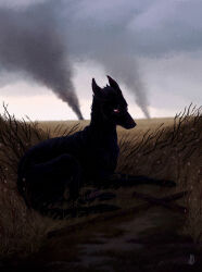 animal black_dog black_fur blank_eyes cloud cloudy_sky commentary cross dappermouth dark dim_lighting dog ears_back english_commentary field flower grass grey_sky highres horizon horror_(theme) looking_at_viewer lying no_humans no_pupils on_grass on_ground original outdoors pink_flower realistic scenery sky stick surreal tornado white_eyes