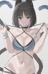 animal_ears bikini black_eyes black_tail blue_archive blue_bikini blue_halo blue_tail cat_ears cat_girl cat_tail colored_inner_animal_ears criss-cross_straps gradient_tail halo highres kikyou_(blue_archive) kikyou_(swimsuit)_(blue_archive) layered_bikini multi-strapped_bikini_bottom multiple_tails official_alternate_costume swimsuit tail timberg12138 two_tails