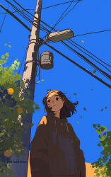Rule 34 | 1girl, arms at sides, artist name, black eyes, blue sky, brown hair, closed mouth, commentary request, day, drawstring, expressionless, falling leaves, film grain, floating hair, food, from below, fruit, highres, hood, hoodie, lamppost, leaf, light frown, medium hair, nemushima, orange (fruit), original, outdoors, power lines, red hoodie, scenery, shadow, sky, solo, standing, sunlight, transformer, tree, turning head, upper body, utility pole