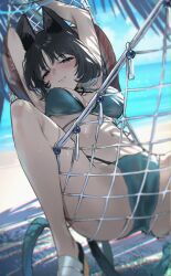 1girl animal_ears arms_up beach bikini black_bikini black_eyes black_hair blue_archive blue_bikini blue_halo blush breasts breasts_out cat_ears cat_girl cat_tail closed_mouth commentary_request halo highres kikyou_(blue_archive) kikyou_(swimsuit)_(blue_archive) kurotsuki_machi layered_bikini looking_at_viewer medium_breasts multiple_tails navel official_alternate_costume on_hammock outdoors short_hair smile solo swimsuit tail thighs two_tails