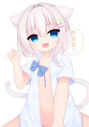 1girl absurdres animal_ear_fluff animal_ears blue_bow blue_bowtie blue_eyes bow bowtie breasts cat_ears cat_girl cat_tail collarbone commentary_request cowboy_shot dress_shirt fang grey_hair hair_between_eyes hair_ornament hairpin hand_up highres looking_at_viewer medium_hair naked_shirt navel no_pupils open_clothes open_mouth open_shirt original out-of-frame_censoring paw_pose romaji_text sankakkee shirt short_sleeves sidelocks simple_background sitting skin_fang small_breasts solo speech_bubble spread_legs stomach striped_bow striped_bowtie striped_clothes tail undone_bowtie white_background white_shirt