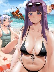1girl 2girls absurdres bare_shoulders beach bikini black_bikini blunt_bangs blush breasts cleavage closed_mouth collarbone crab devovas elf fern_(sousou_no_frieren) frieren front-tie_bikini_top front-tie_top green_eyes highres large_breasts legs long_hair multiple_girls narrow_waist navel ocean parted_bangs pointy_ears purple_eyes purple_hair sand small_breasts sousou_no_frieren starfish stark_(sousou_no_frieren) swimsuit