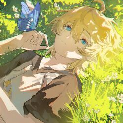 1boy ahoge aotu_world blonde_hair blue_butterfly blue_eyes bug butterfly butterfly_on_hand chinese_commentary closed_mouth dappled_sunlight day drawstring field flower grass hair_between_eyes hood hood_down hoodie insect king_(aotu_world) looking_at_viewer luoshansama lying male_focus multicolored_hoodie on_back on_grass outdoors pointy_ears short_hair short_sleeves solo sunlight upper_body white_flower white_hoodie