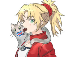 1girl animal animal_on_shoulder blush cat chickenuma_0 commentary_request fate/apocrypha fate_(series) food food_in_mouth green_eyes hair_ornament hair_scrunchie jacket looking_at_viewer mordred_(fate) mordred_(memories_at_trifas)_(fate) on_shoulder red_jacket red_scrunchie scrunchie simple_background white_background