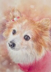 Rule 34 | animal, animal ear fluff, animal focus, brown background, colored pencil (medium), dog, highres, looking at viewer, no humans, ooy33151086, original, photorealistic, portrait, realistic, traditional media