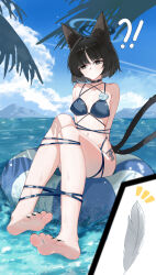 Rule 34 | 1girl, absurdres, animal ear fluff, animal ears, barefoot, bikini, black bikini, black hair, blue archive, breasts, cat ears, cat girl, cat tail, character request, day, feet, halo, highres, kakyouin2002, kikyou (blue archive), kikyou (swimsuit) (blue archive), looking at viewer, multiple tails, navel, ocean, short hair, soles, swimsuit, tail, tail raised, toes, two tails