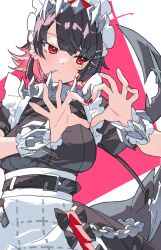 Rule 34 | 1girl, absurdres, apron, black hair, candy, chain, collar, colored inner hair, earrings, ellen joe, fins, fish tail, food, frilled wristband, hairband, heart, heart hands, highres, jewelry, k einosuke, lollipop, lollipop in mouth, maid, maid apron, metal collar, metal hairband, mole, mole under eye, multicolored hair, razor blade hair ornament, red eyes, red hair, red nails, scar, scar on tail, shark girl, shark tail, short hair, solo, spiked headband, tail, zenless zone zero