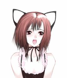 1girl animal_ears blush brown_eyes brown_hair cat_ears es es_(cah60700) female_focus maid open_mouth original short_hair solo