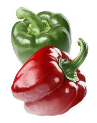 absurdres bell_pepper derivative_work food fruit green_pepper highres no_humans original red_pepper rei_(lappy_mofumofu) simple_background still_life white_background