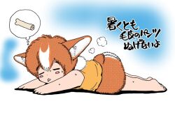 Rule 34 | 1girl, animal ears, barefoot, bone, brown shorts, chibi, chibi only, closed eyes, commentary request, dog, dog ears, dog girl, dreaming, drooling, full body, mouth drool, mukai natsumi, orange shirt, original, shirt, short hair, shorts, sleeping, solo, speech bubble, sweatdrop, thought bubble, traditional media, welsh corgi