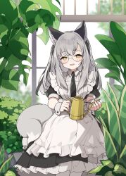 1girl :d animal_ear_fluff animal_ears apron black_dress blurry blurry_background blush braid chair collared_dress commentary_request day depth_of_field dress fangs feet_out_of_frame fox_ears fox_girl fox_tail frilled_apron frills glasses grey_hair highres holding indoors kamiyoshi_rika long_hair looking_at_viewer maid on_chair open_mouth original pantyhose plant puffy_short_sleeves puffy_sleeves round_eyewear short_sleeves sitting smile solo tail watering_can white_apron white_pantyhose window wrist_cuffs yellow_eyes