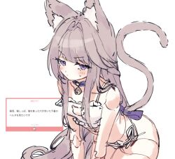 1girl animal_ears blush bra brown_hair genshou_ex herta_(honkai:_star_rail) honkai:_star_rail honkai_(series) lingerie long_hair looking_at_viewer purple_eyes simple_background sketch sweatdrop tail underwear white_background