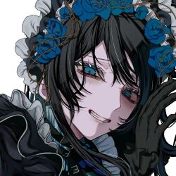 Rule 34 | 1girl, ado (utaite), aegyo sal, aishite aishite aishite (vocaloid), black dress, black gloves, blue eyes, blue flower, blue rose, blush, chando (ado), clenched teeth, close-up, commentary request, dress, film grain, flower, gloves, looking at viewer, maid headdress, mole, mole under eye, open mouth, oyashirazu (adochan daisuki), rose, simple background, solo, teeth, thorns, upper body, utaite, white background