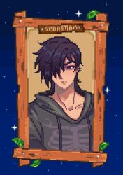 Rule 34 | 1boy, black eyes, black hair, black hoodie, blue sky, bone print, character name, closed mouth, commentary, english commentary, expressionless, hair between eyes, hair over one eye, highres, hood, hood down, hoodie, leaf, long bangs, looking at viewer, male focus, mimpish, picture frame, pixel art, portrait, print hoodie, sebastian (stardew valley), short hair, sky, solo, star (sky), stardew valley, starry sky