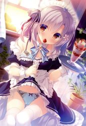 1girl absurdres apron backlighting black_ribbon blue_bow blue_bowtie blue_bra blue_panties blush bow bow_panties bowtie bra brooch brown_eyes cameltoe clothes_lift coat collar crotch_seam curtains detached_collar dress dress_lift dutch_angle female_focus flower flower_pot food frilled_apron frilled_collar frilled_dress frilled_ribbon frills fruit grey_hair hair_flower hair_ornament hair_ribbon highres holding holding_tray indoors ivy jewelry large_bow lens_flare light_particles long_hair looking_at_viewer maid maid_headdress mouth_hold off_shoulder one_side_up original panties parfait plant puffy_short_sleeves puffy_sleeves ribbon short_dress short_sleeves sitting solo strawberry strawberry_parfait striped_bow striped_bowtie striped_clothes striped_neckwear striped_panties thigh_gap thighhighs thighs tray underwear vertical-striped_clothes vertical-striped_panties waist_apron white_apron white_bow white_coat white_thighhighs window wing_collar wrist_cuffs yukie_(peach_candy)