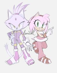 2girls amy_rose amy_rose_(riders) animal_ears blaze_the_cat blaze_the_cat_(riders) boots cat_ears cat_girl cat_tail eyelashes fang forehead_jewel fur-trimmed_gloves fur_trim furry furry_female gloves green_eyes hairband hedgehog_girl highres jumpsuit looking_at_viewer multiple_girls pants pink_boots pink_fur pink_pants ponytail purple_fur purple_jumpsuit sketch smile softyleonita sonic_(series) sonic_riders sonic_riders:_zero_gravity sonic_riders_(series) tail white_gloves yellow_eyes