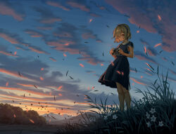 1girl armpit_crease bird blue_dress blue_hairband blue_sky bob_cut bright_pupils brown_eyes brown_hair camera closed_mouth collared_dress commentary_request dress expressionless eyes_visible_through_hair field floating_clothes flock flower forest full_body gradient_sky grass hair_over_one_eye hairband highres hill holding holding_camera long_bangs looking_at_viewer morning mountainous_horizon nature one_eye_covered orange_clouds orange_sky original oukayu parted_bangs purple_clouds scenery short_sleeves sky standing sunrise valley white_flower white_pupils wind