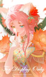 1girl animal_ear_fluff animal_ears animal_print bell blue_eyes butterfly_print chinese_clothes chinese_commentary chinese_hairpin choker closed_mouth commentary_request commission expressionless eyeshadow facepaint finger_to_mouth fingernails flower forehead forever_bond_(infinity_nikki) fox_ears gold_choker hair_bun hair_flower hair_ornament hanfu heterochromia highres infinity_nikki ink light_blush lipstick long_hair long_sidelocks long_sleeves lotus makeup nail_polish neck_bell nikki_(series) petals pink_eyeshadow pink_hair red_flower red_hanfu red_lips red_nails sample_watermark sharp_fingernails sidelocks single_bare_shoulder single_hair_bun solo upper_body watermark white_background wide_sleeves yellow_eyes youyutiao