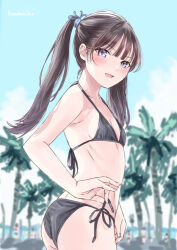 1girl artist_name bikini black_bikini black_hair blurry blurry_background breasts day from_side halterneck hondahiro long_hair looking_at_viewer multiple_others open_mouth original outdoors palm_tree purple_eyes side-tie_bikini_bottom sky small_breasts solo standing string_pull swimsuit teasing tree twintails