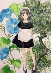 1girl apron black_dress black_eyes black_shoes brown_hair commentary_request dress flower frilled_apron frills full_body highres maid maid_headdress medium_hair original shinomiya_nanase shoes short_dress short_sleeves solo standing traditional_media white_apron