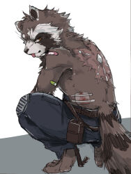 1boy absurdres animal_ears ao_gravity bandaid bandaid_on_arm bandaid_on_shoulder barefoot blood digitigrade furry furry_male guardians_of_the_galaxy highres injury looking_at_viewer male_focus marvel marvel_cinematic_universe raccoon_boy raccoon_ears raccoon_tail rocket_raccoon squatting tail tongue tongue_out topless_male white_background