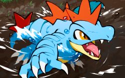 blue_skin bubble claws colored_skin feraligatr fins gen_2_pokemon head_fins kawaanago nintendo no_humans open_mouth pokemon pokemon_(creature) pokemon_focus reflection reflective_water sharp_teeth slit_pupils swimming tail teeth yellow_eyes