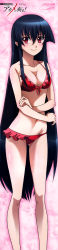 10s 1girl absurdres akame_(akame_ga_kill!) akame_ga_kill! bikini black_hair blush body_blush breasts cleavage closed_mouth collarbone copyright_name dated facing_viewer female_focus frilled_bikini frills front-tie_bikini_top front-tie_top groin hair_between_eyes highres holding_own_arm legs logo long_hair long_image looking_at_viewer medium_breasts nakamura_kazuhisa navel official_art pink_background red_bikini red_eyes scan shiny_skin sideboob sidelocks smile solo standing star_(symbol) star_symbol_background stick_poster straight_hair swimsuit tall_image very_long_hair wet