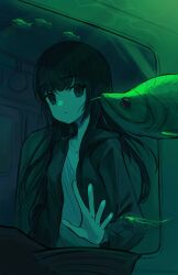 Rule 34 | 1girl, against glass, black hair, black jacket, character request, copyright request, fish, hand grip, hand in pocket, hand on glass, highres, jacket, karmanimaxwx, long hair, looking at animal, looking outside, parted lips, shirt, solo, train, underwater, window