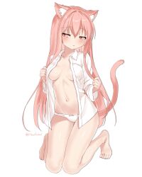 1girl 4o4_n0t_fankal absurdres animal_ears bare_legs barefoot breasts cat_ears cat_girl cat_tail expressionless full_body groin highres holding holding_own_hair kneeling long_hair long_sleeves medium_breasts navel no_bra open_clothes open_shirt original panties pink_eyes pink_hair shirt simple_background stomach tail underwear white_background white_panties white_shirt