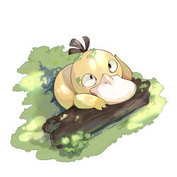 algae animal_focus black_eyes closed_mouth creatures_(company) dlitw from_above game_freak gen_1_pokemon highres log looking_at_viewer nintendo no_humans nostrils outdoors pokemon pokemon_(creature) psyduck simple_background solo white_background