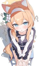 ? absurdres animal_ear_fluff animal_ears blue_archive blue_eyes blush cat_ears cat_girl chair flower gym_shirt gym_shorts gym_uniform hair_flower hair_ornament hairband halo hand_on_own_thigh highres jacket looking_at_viewer looking_up mari_(blue_archive) mari_(track)_(blue_archive) multicolored_jacket nonddu official_alternate_costume on_chair orange_hair shadow shirt shorts sitting sweat track_jacket two-tone_jacket white_background white_flower white_hairband yellow_halo