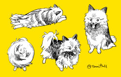 artist_name dog highres lying no_humans original sitting standing tamifull tongue twitter_username yellow_background