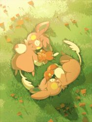 absurdres closed_eyes closed_mouth commentary_request day from_above fukkatsu_no_maya grass highres lying nintendo no_humans on_back on_side outdoors pawmi pawmot pokemon pokemon_(creature) smile
