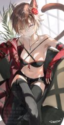 1girl absurdres animal_ears armpits bare_shoulders bikini bikini_top_only black_bikini black_shorts black_thighhighs blue_eyes breasts brown_hair cat_ears cat_tail chair cleavage closed_mouth crossed_legs detached_sleeves facial_mark final_fantasy final_fantasy_xiv fingerless_gloves flower gloves hair_flower hair_ornament heterochromia highres jacket jewelry long_sleeves looking_at_viewer medium_breasts micro_shorts miqo&#039;te navel necklace red_gloves red_jacket red_sleeves rose shikina_(mochigushi_) short_hair shorts sitting smile solo stomach string_bikini swimsuit tail thighhighs warrior_of_light_(ff14) yellow_eyes