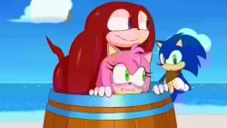 amy_rose animated beach cheating_(relationship) cum cum_in_ass cum_out_mouth excito furry highres hurt implied_anal implied_sex knuckles_the_echidna netorare pain public_indecency sonic_(series) sonic_the_hedgehog sound tagme video