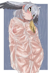 1girl absurdres arms_at_sides bird_wings blonde_hair blush border breasts brown_hair buttons closed_mouth cowboy_shot egusuke grey_hair hair_between_eyes head_tilt head_wings highres hood hood_up kemono_friends large_breasts long_hair long_sleeves looking_to_the_side low_ponytail multicolored_hair naked_raincoat nipples outside_border ponytail rain raincoat see-through_clothes see-through_raincoat shoebill_(kemono_friends) side_ponytail sleeves_past_wrists solo water wet wet_clothes wet_face wet_hair white_border wings yellow_eyes