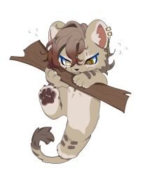 1boy androgynous animal_ears animal_feet animal_hands august_(fluffy_land) beads bishounen branch brown_hair chibi chibi_only chibikemo claws commentary digitigrade english_commentary fluffy_land furry furry_male gradient_hair hair_beads hair_ornament kikugawa_ru lion_boy lion_ears male_focus mismatched_pupils multicolored_hair official_art pawpads second-party_source simple_background solo tail white_background yellow_eyes